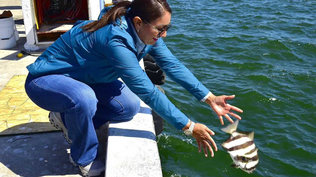torneos-pesca-deportiva-baja-california-sur