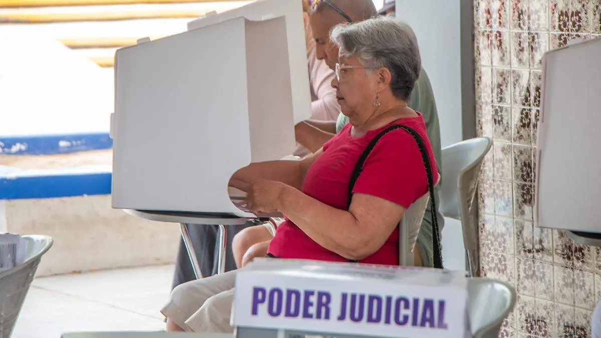 votando-eleccion-judicial-acordeones