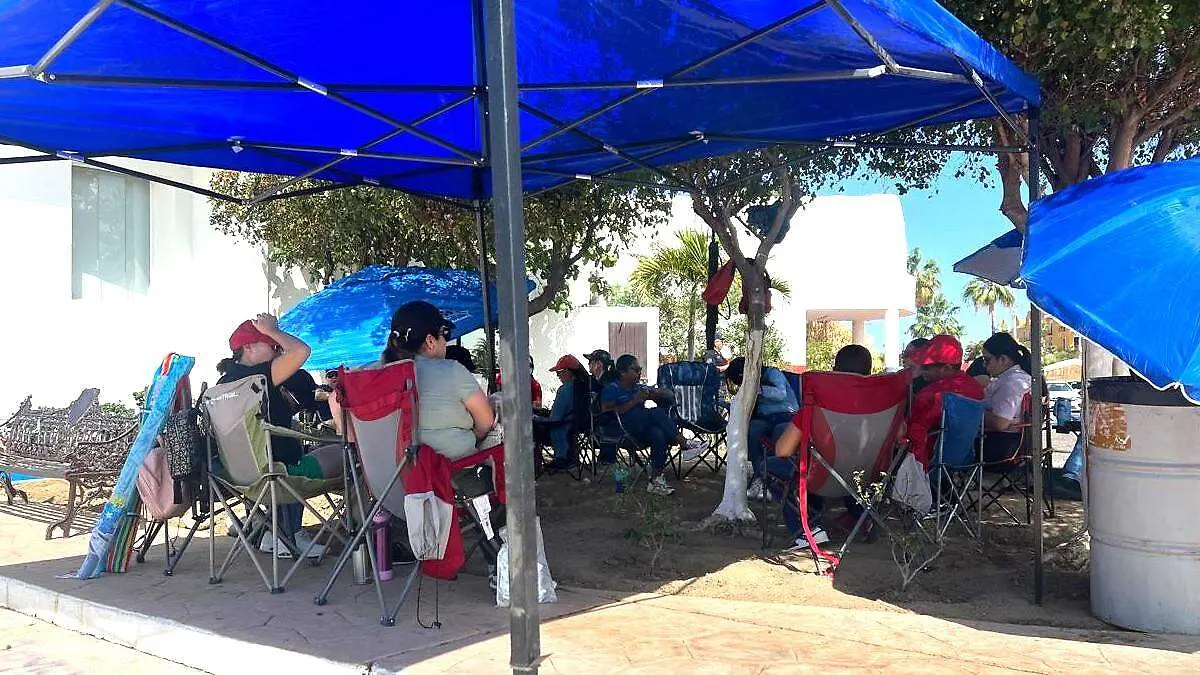 docentes-cabo-san-lucas-planton-los-cabos