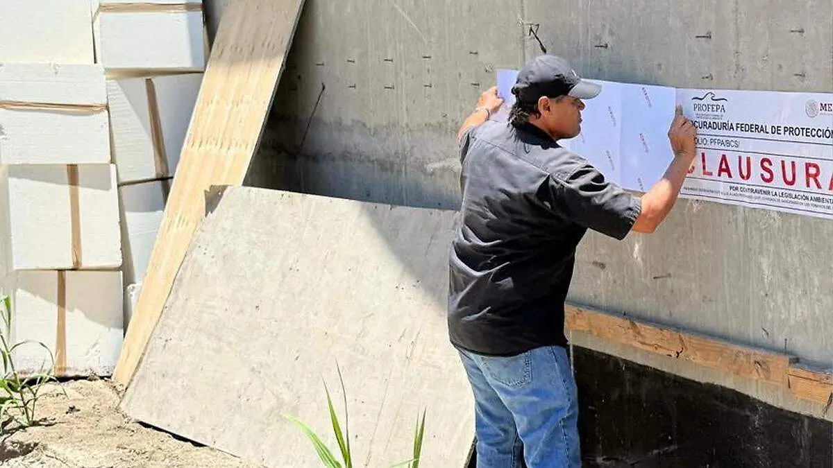 clausura-palmoral-todos-santos