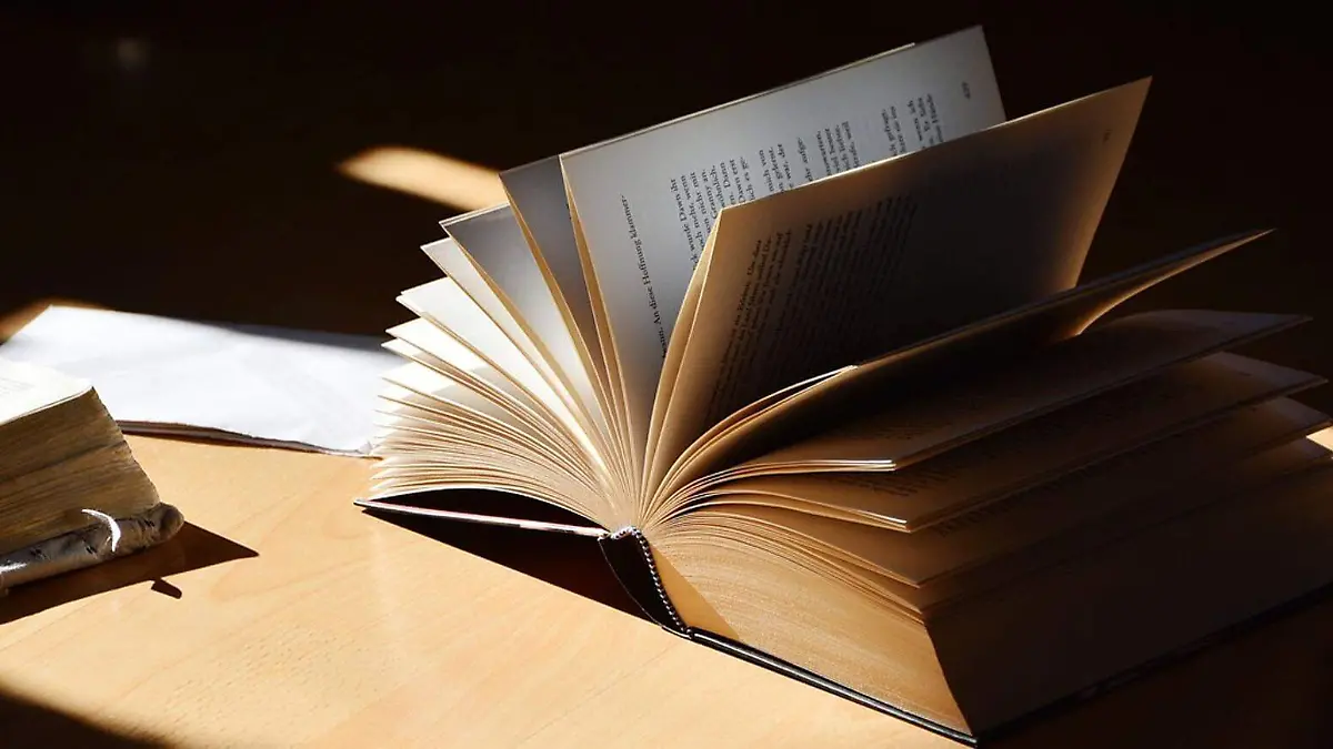 CONVOCATORIA para artistas