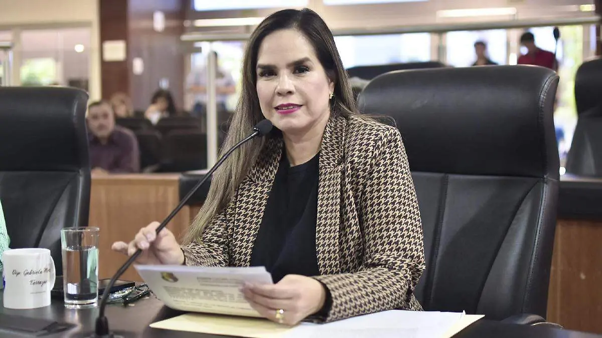 Gabriela montoya diputada llama a cfe