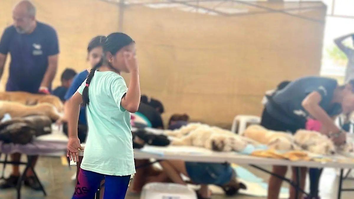 b4ff5885-c733-4480-b593-06a882c57366