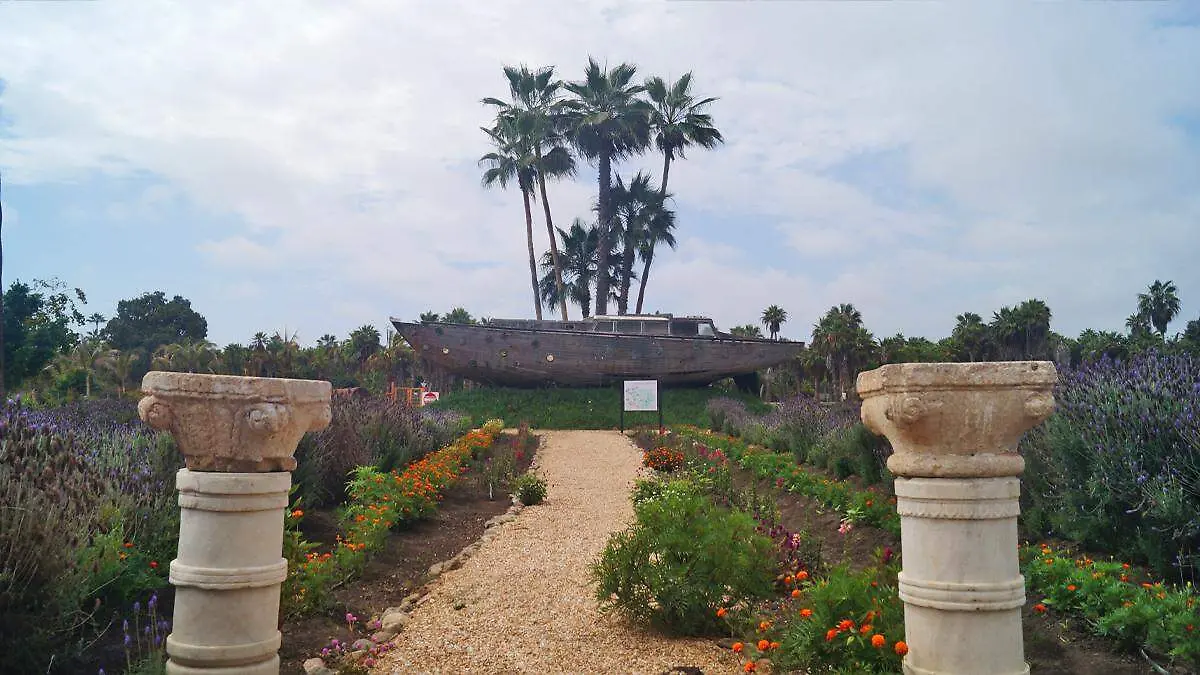 palmoral-santa-terra-todos-santos