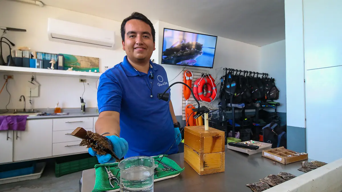 tecnico-perlas-la-paz