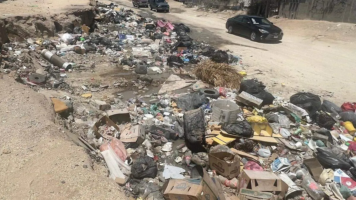 basura-tirada-arroyo-los-cabos