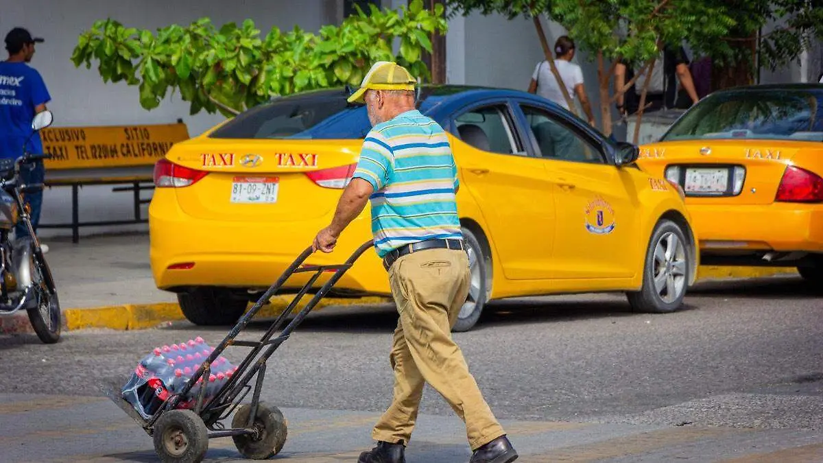 adulto mayor trabajando