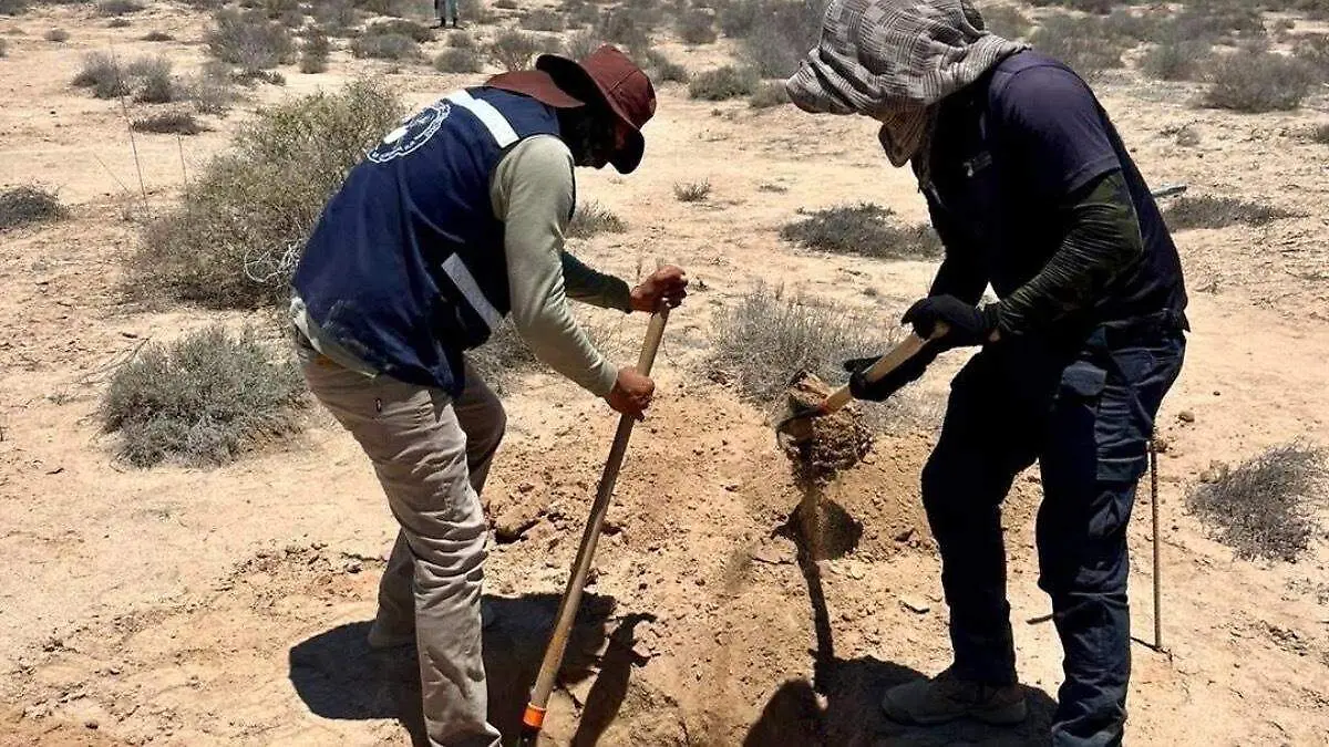jornada-búsqueda-personas-desaparecidas