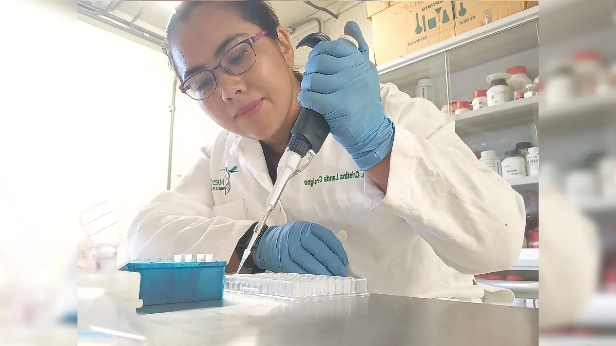 sargazo-baja-california-sur-investigacion