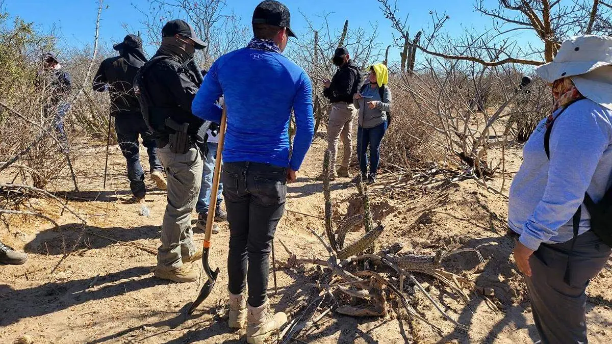 busqueda desaparecidos la paz