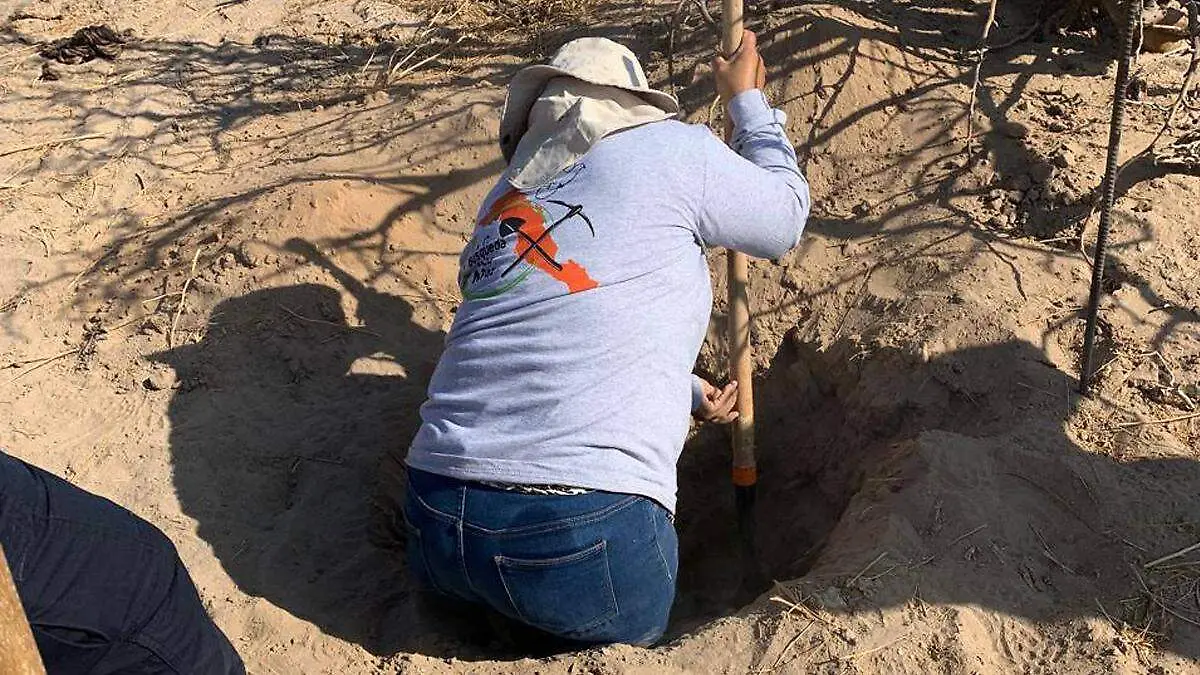busqueda por la paz fosas
