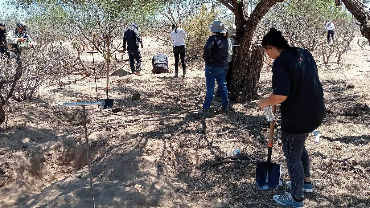 grupo madres buscadoras busqueda x la paz