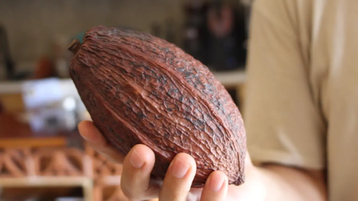 cacao la paz (1)