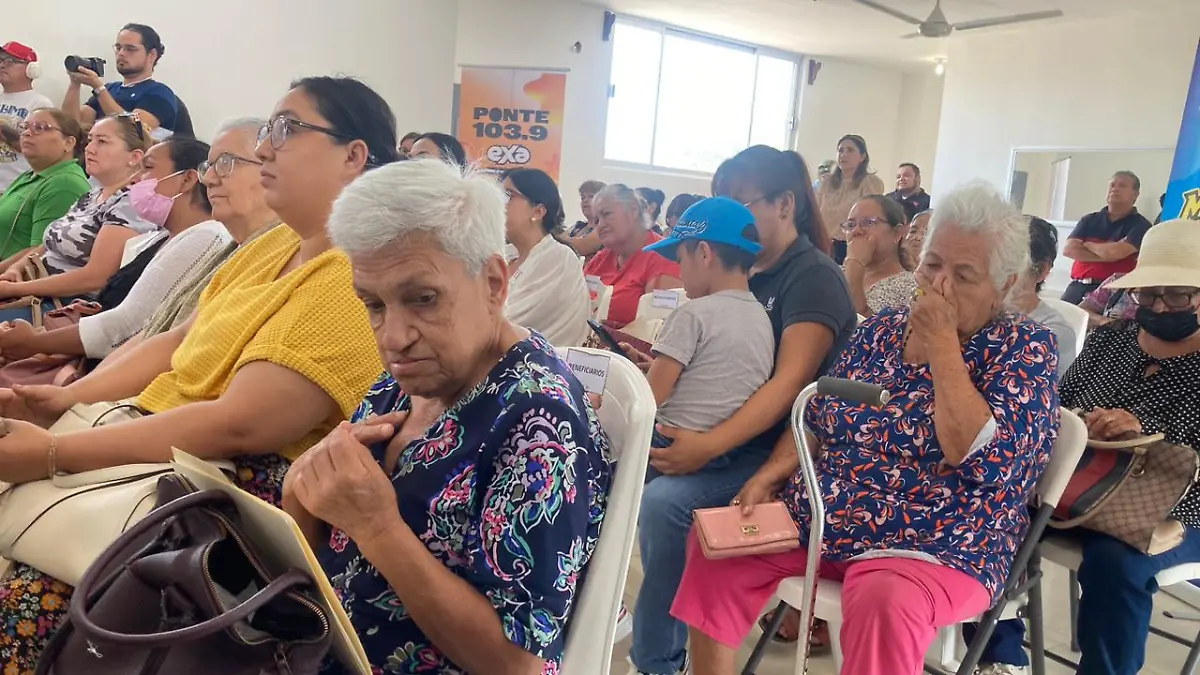 dispositivos auditivos discapacidad