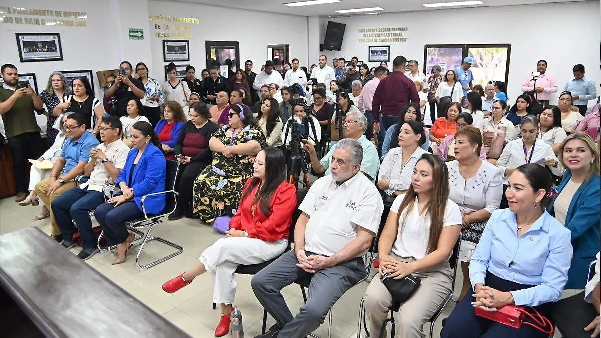 comite consulta autista publico