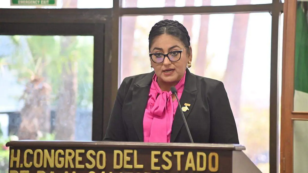 diputada-dalia-collins-personas-discapacidad