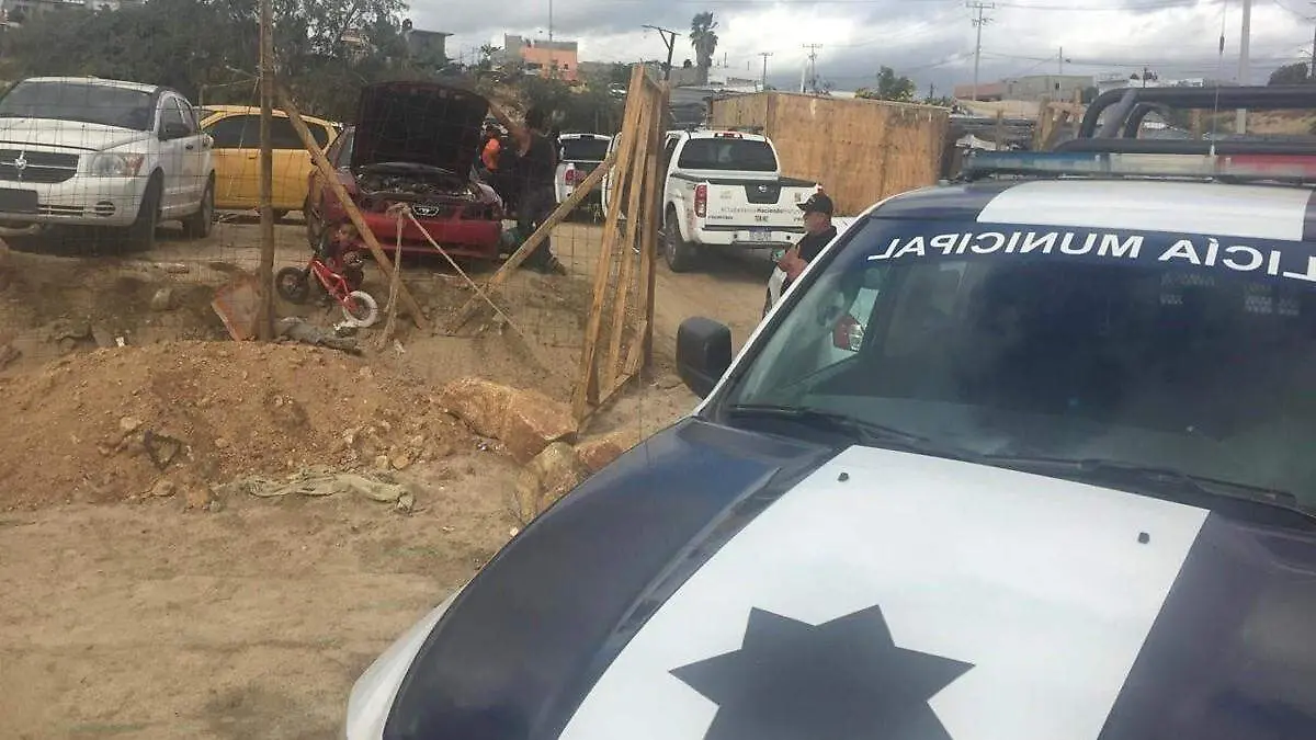 yonkes-yardas-cabo-san-lucas