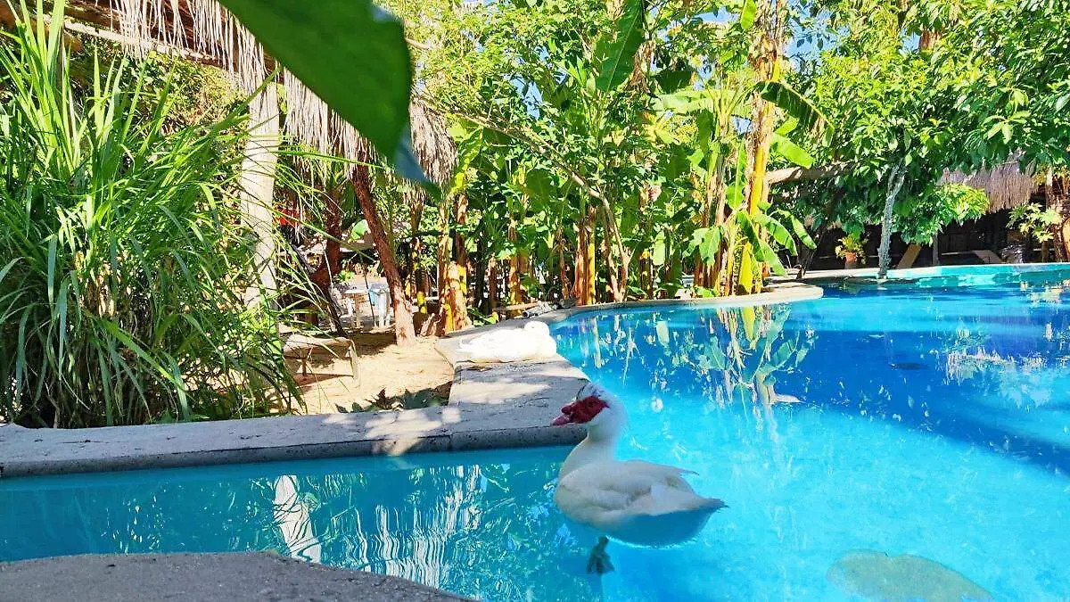 san-bartolo-ojo-de-agua