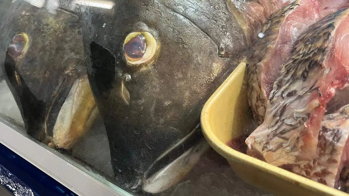 pescados-congelados-hielera