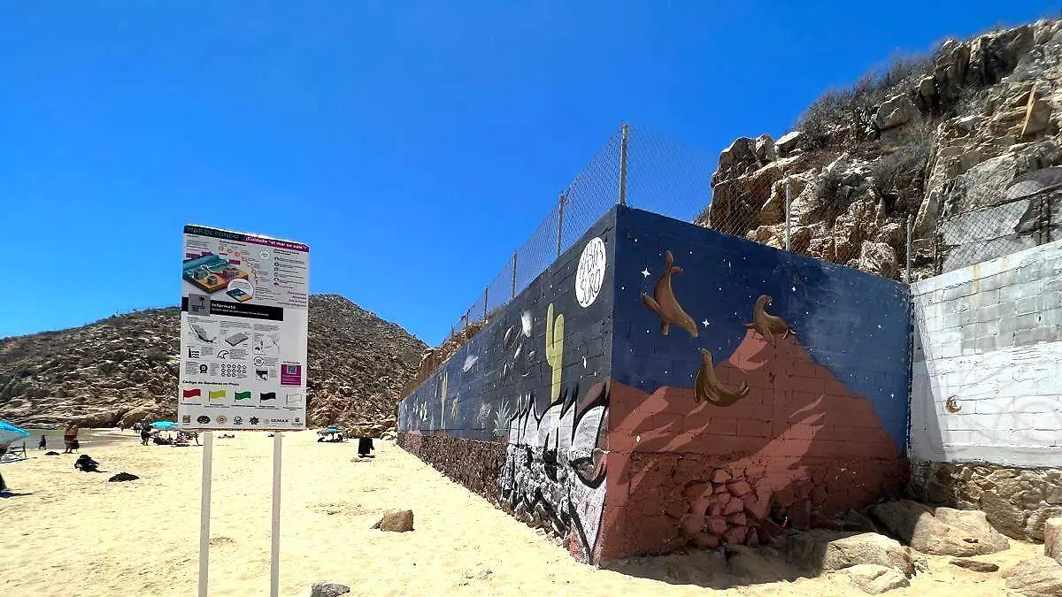 mural-playa-festival-ballenas-los-cabos