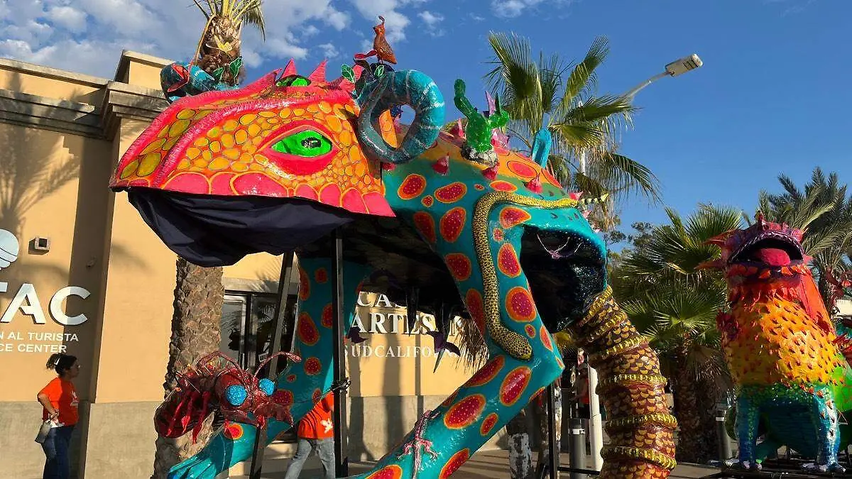 tewua-camaleon-festival-fantastico-2025