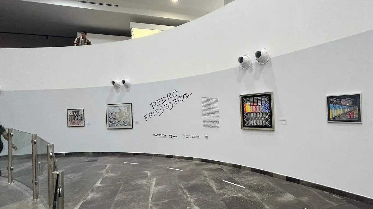 pedro-friedberg-exposicion-muabcs