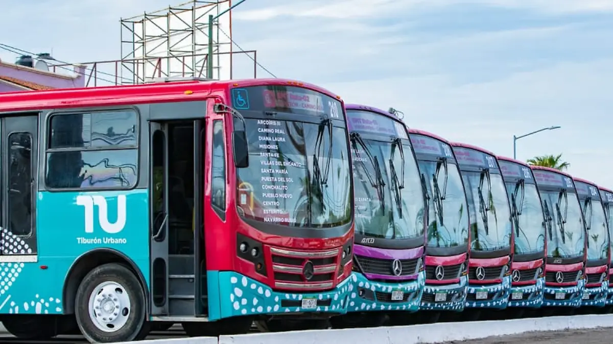 camiones-tiburon-urbano-la-paz