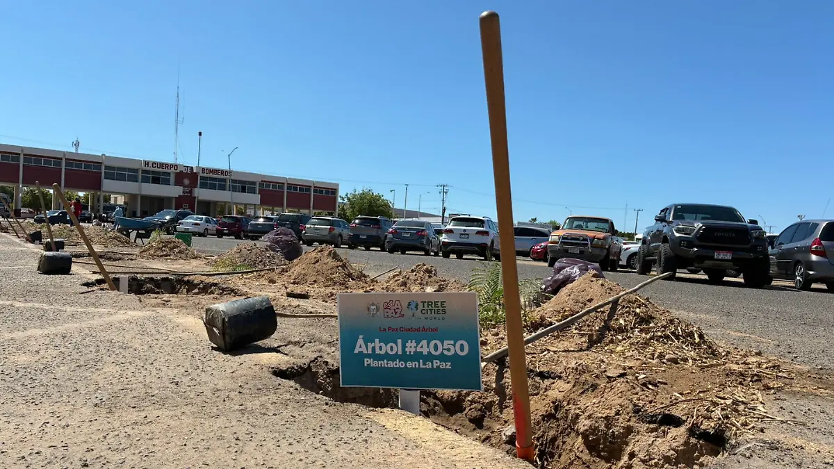 programa-reforestacion-la-paz