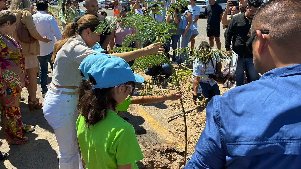 actividad-reforestacion-la-paz