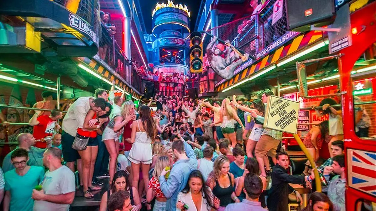 squid-roe-cabo-san-lucas