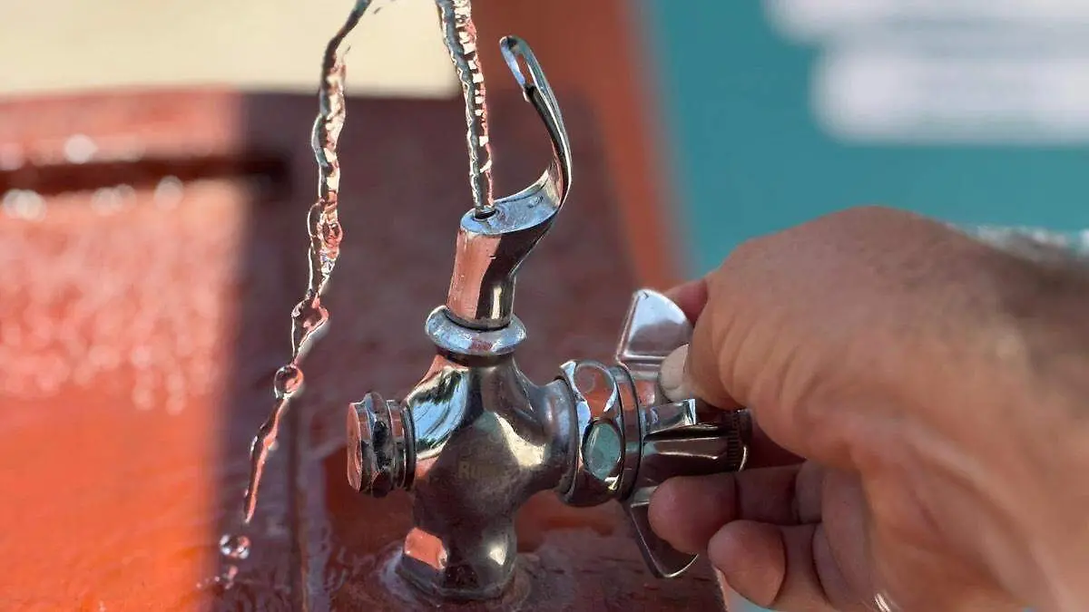 Llave con agua del bebedero