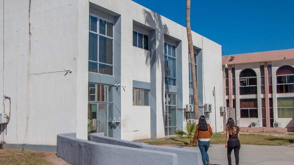 procuraduria-violencia-intrafamiliar