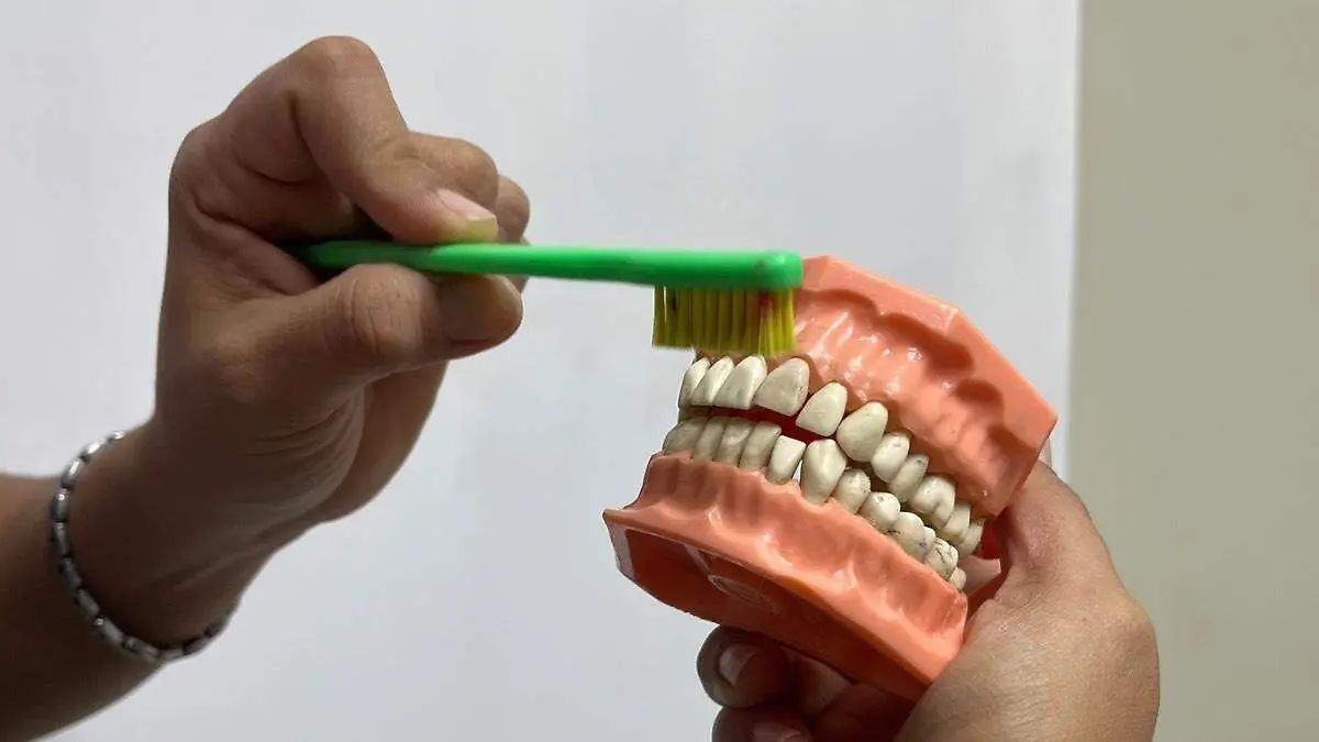 cepillando-correcto-dientes