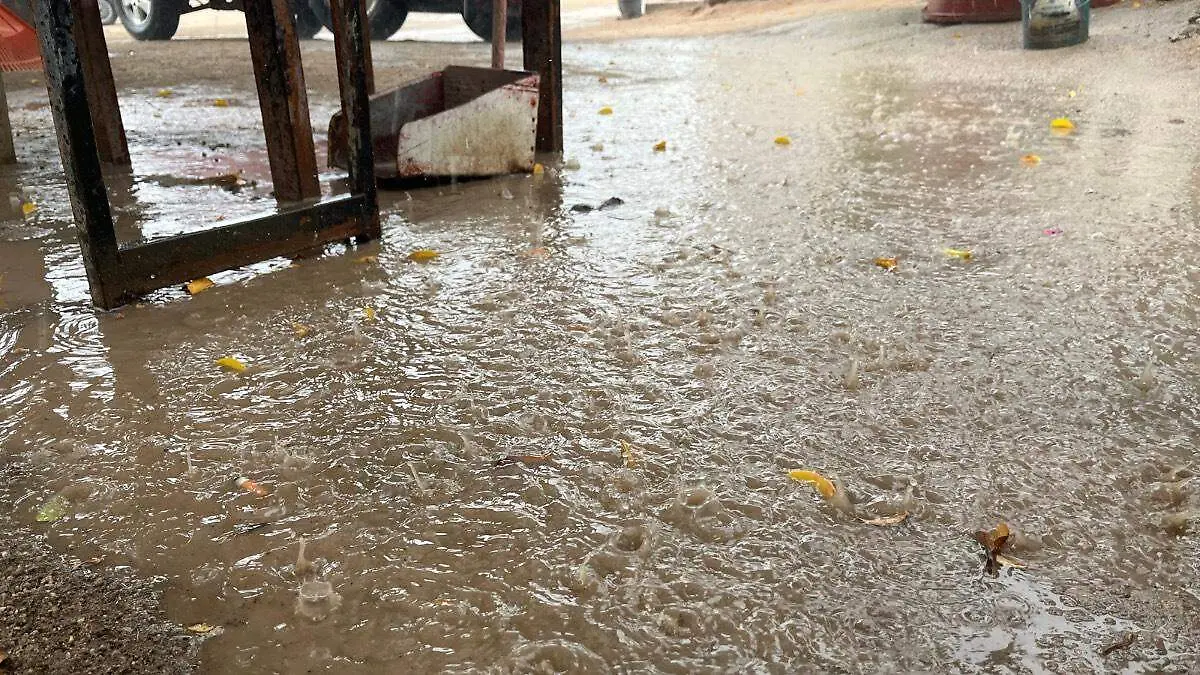 Charco de lluvia en la paz