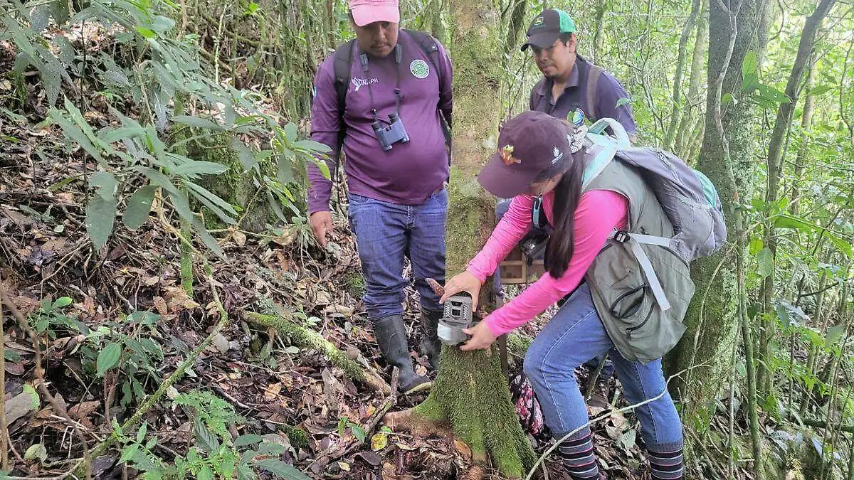 equipo-guardarecursos-instalando-camaras-trampas