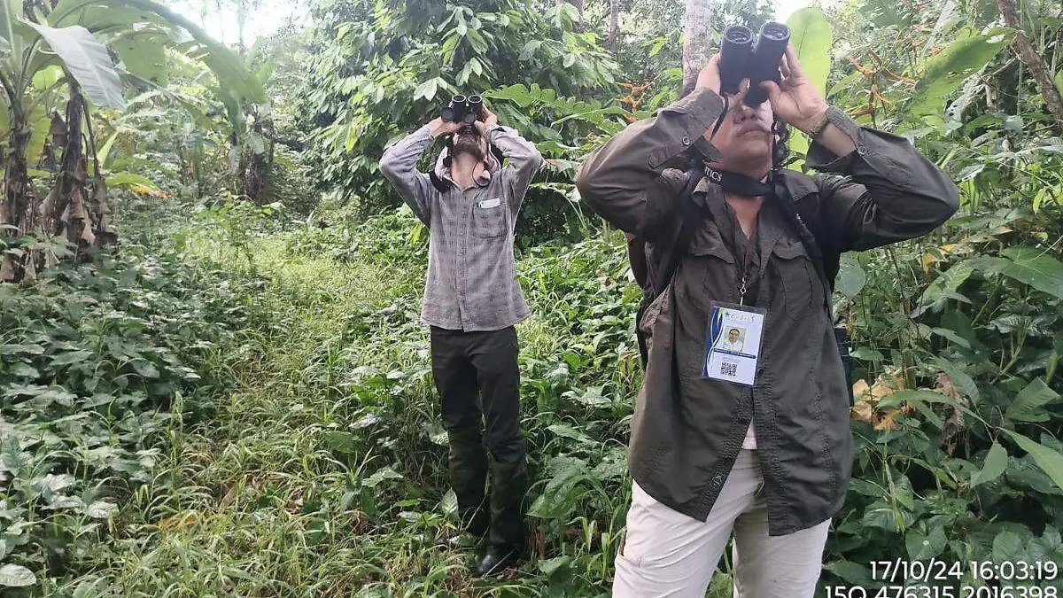censo-mono-saraguato-chontalpa-tabasco