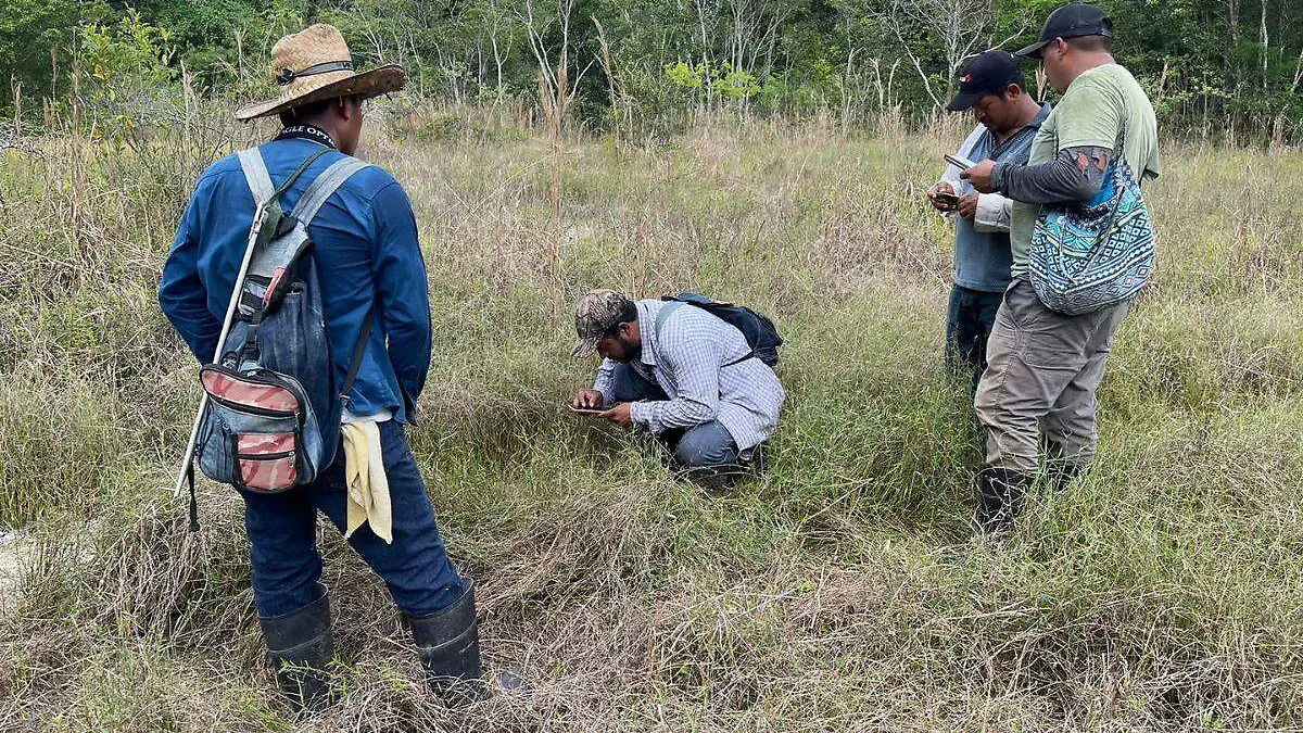 monitores-comunitarios-campo