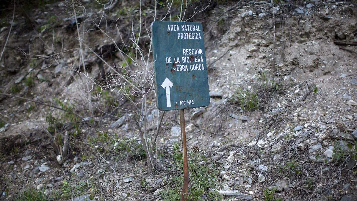 trafico mercurio queretaro a amazonia 5