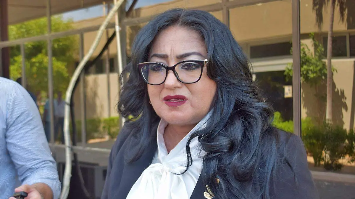 diputada-dalia-collins-mendoza-entrevista