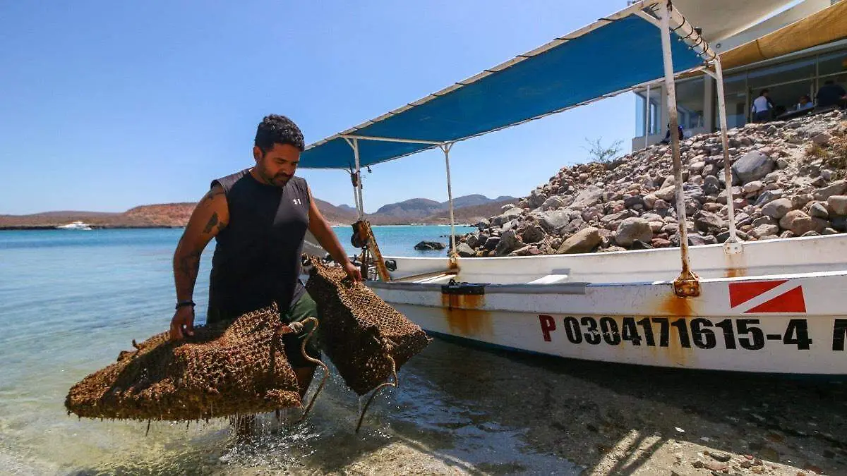 Pescador baja de su embarcación