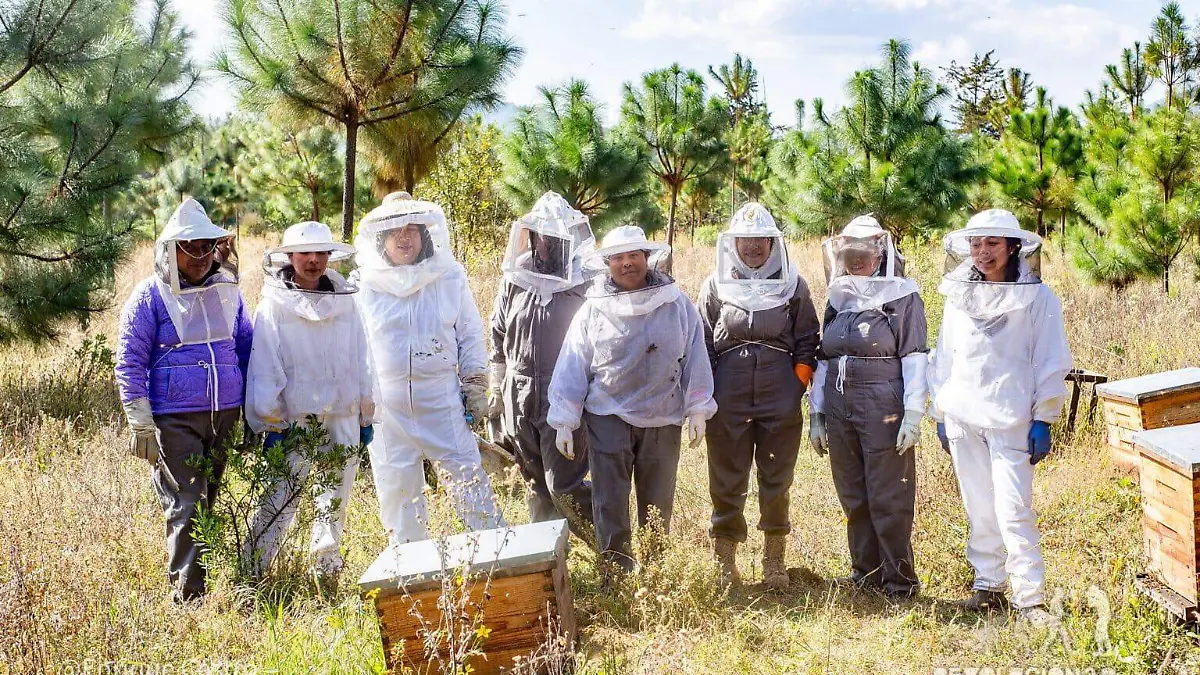 ocho-apicultoras-colectivo-api-nahu