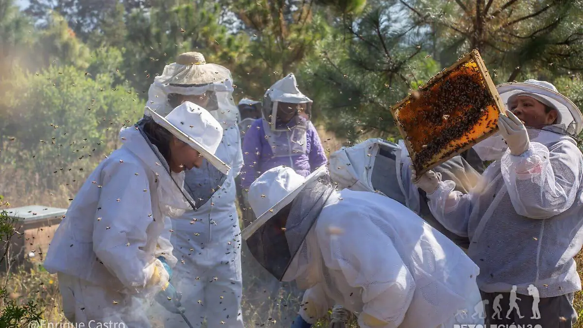colectivo-api-nahu-cuidando-abejas