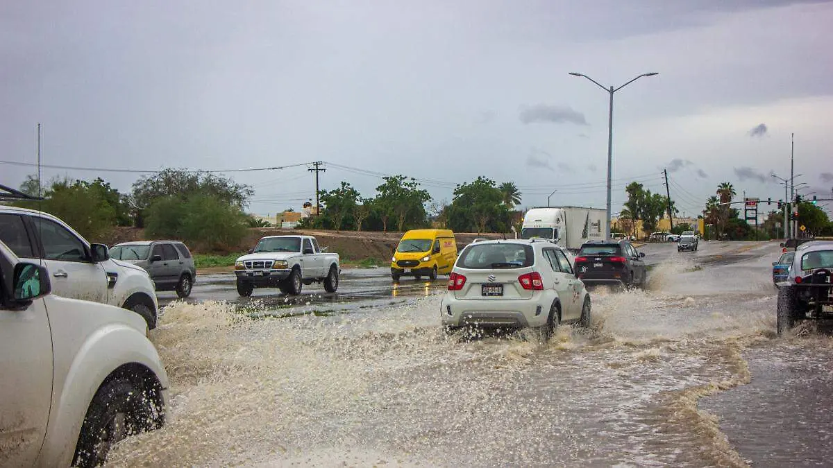 ef4e218c-d83d-4fd8-b04f-fc6dcee89291