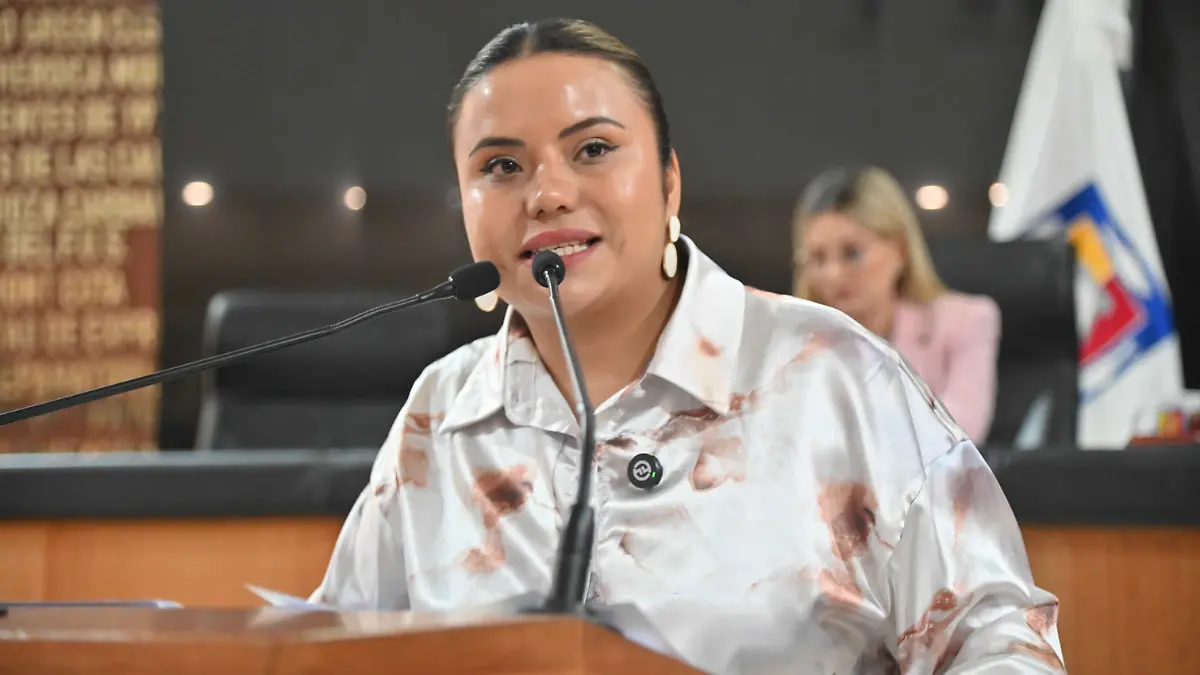 diputada-guadalupe-vazquez