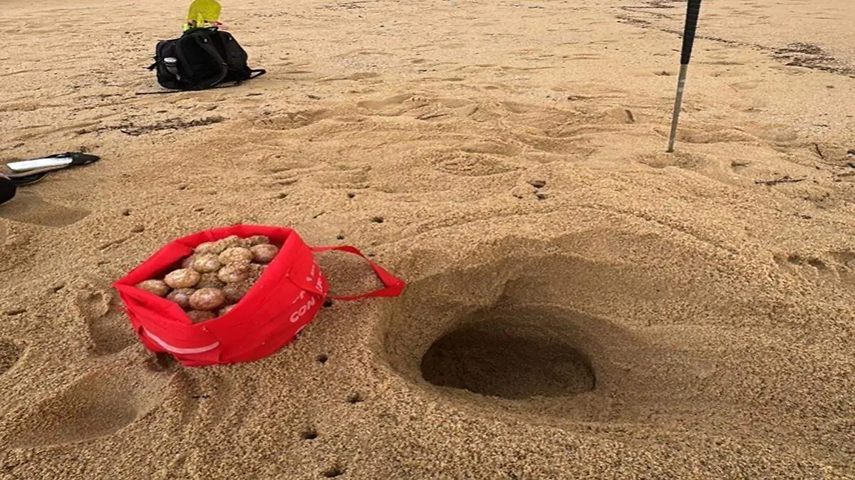 3363174e-94b4-4830-80ab-66e56d39d428