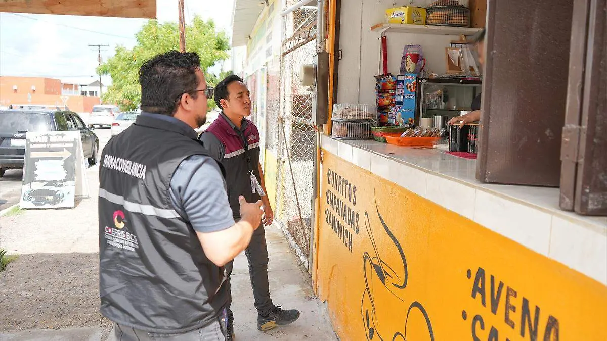 alimentos-venta-via-publica