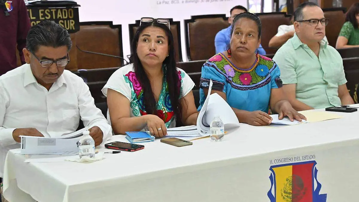 veto ley pueblos indigenas afro