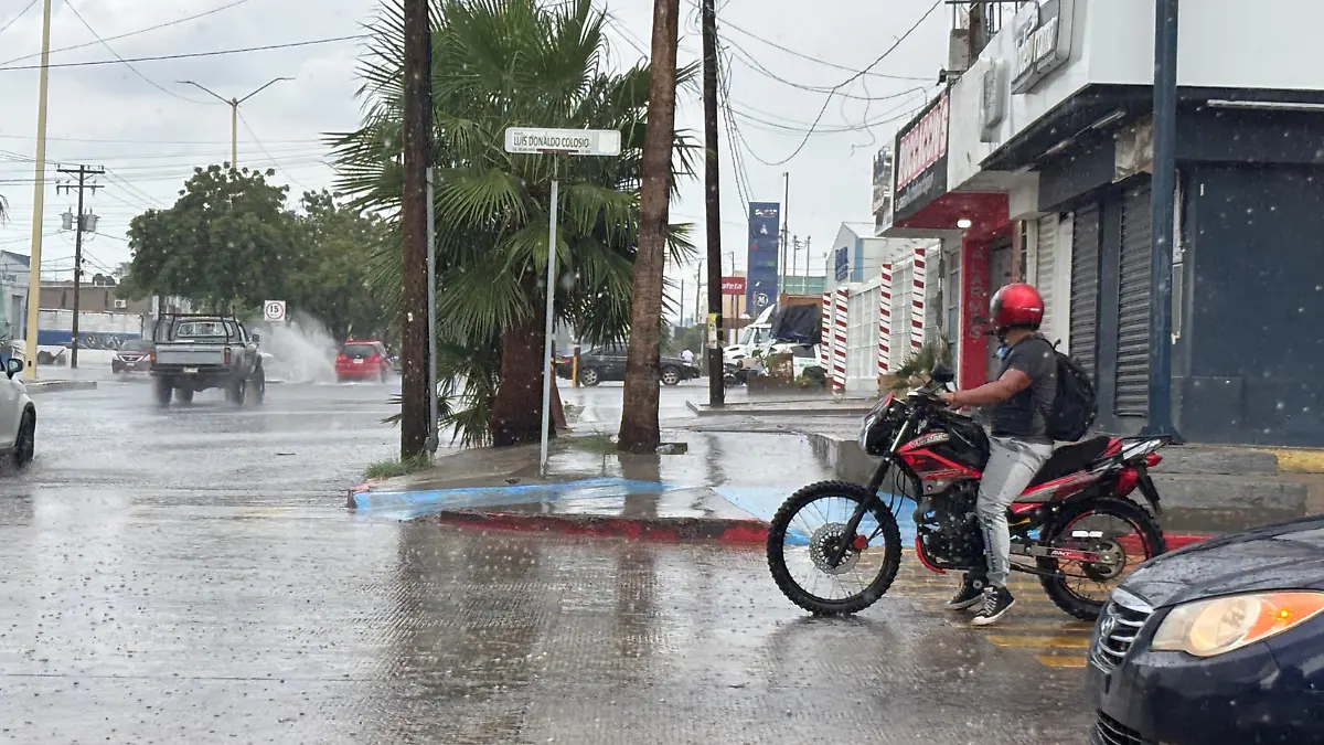 Fotografía