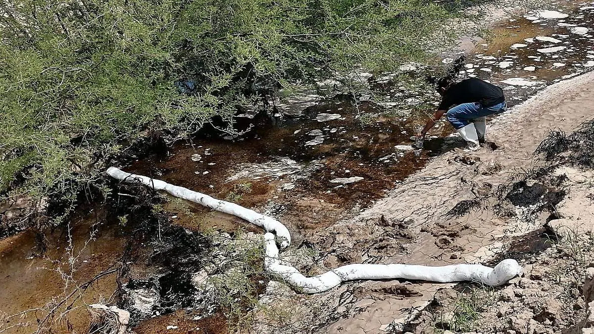 ecodidio las pocitas inspector