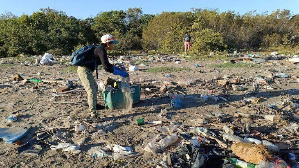 Una-de-las-multiples-jornadas-de-limpieza-ciudadanas-que-se-han-efectuado-en-el-estero